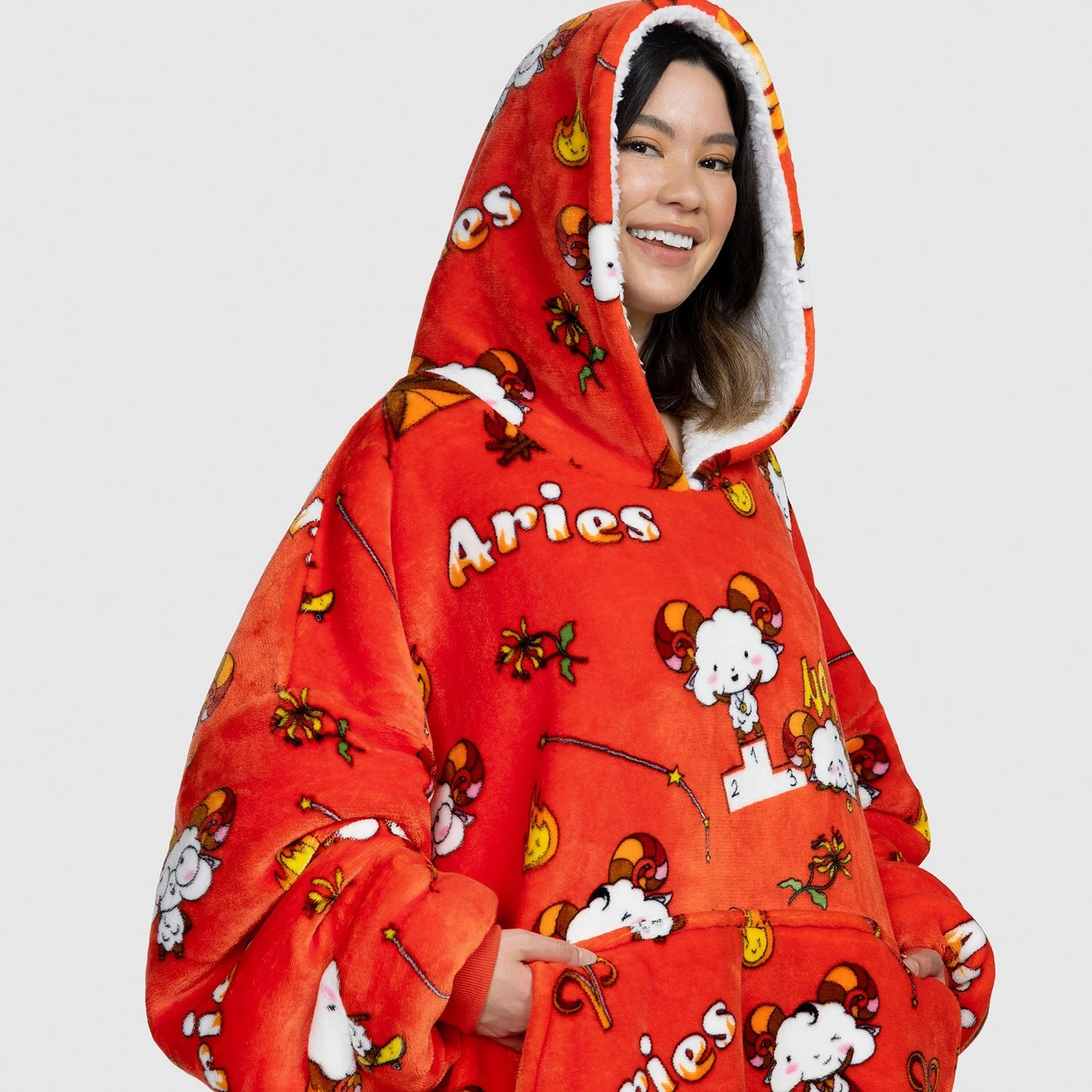 Aries - Image 4
