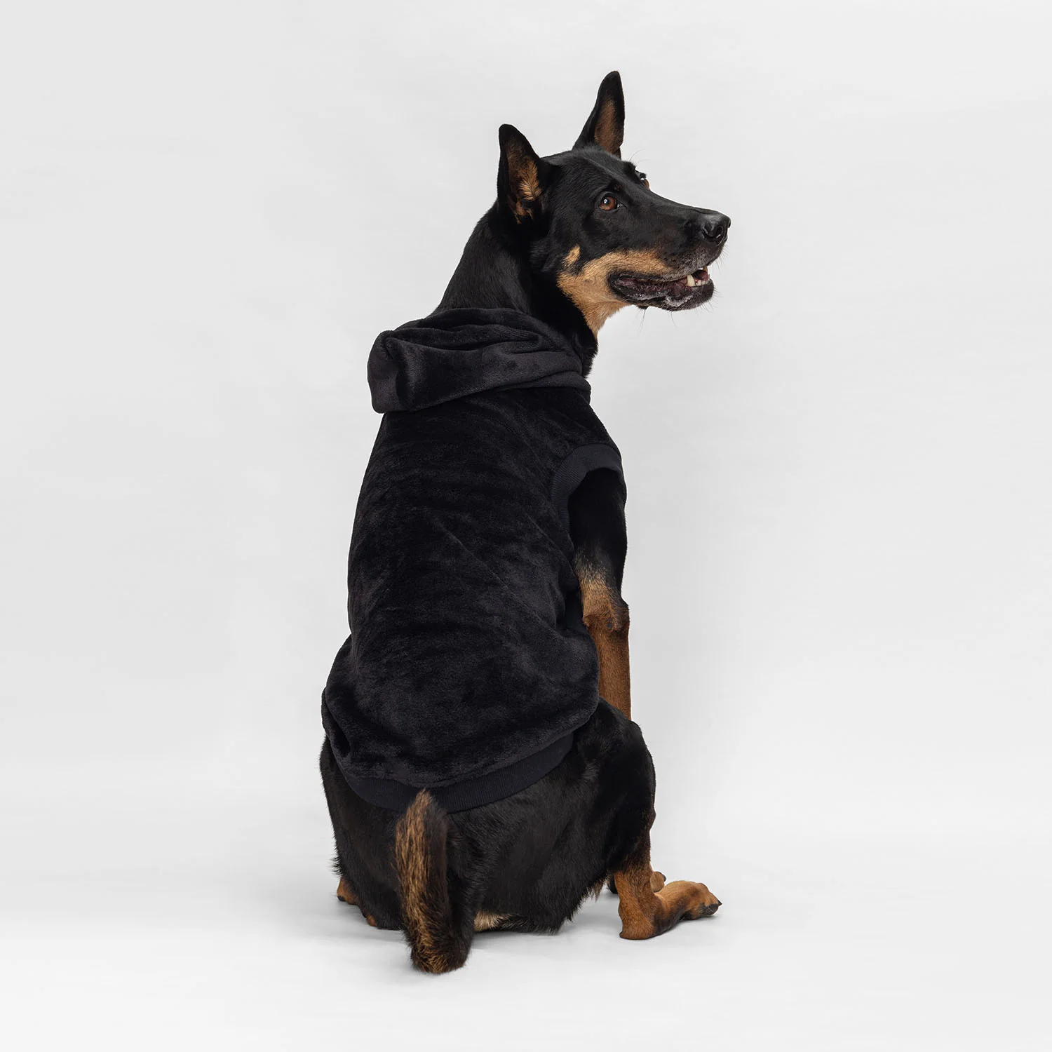 Black - Image 4