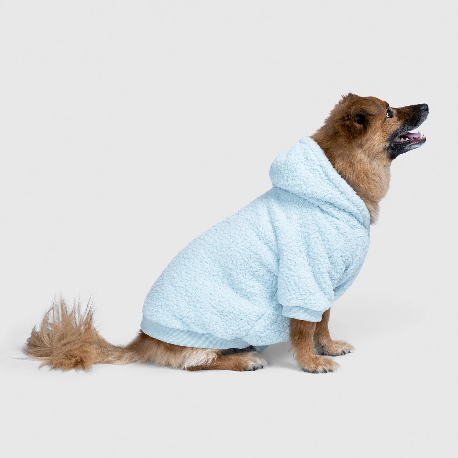Blue Sherpa - Image 4
