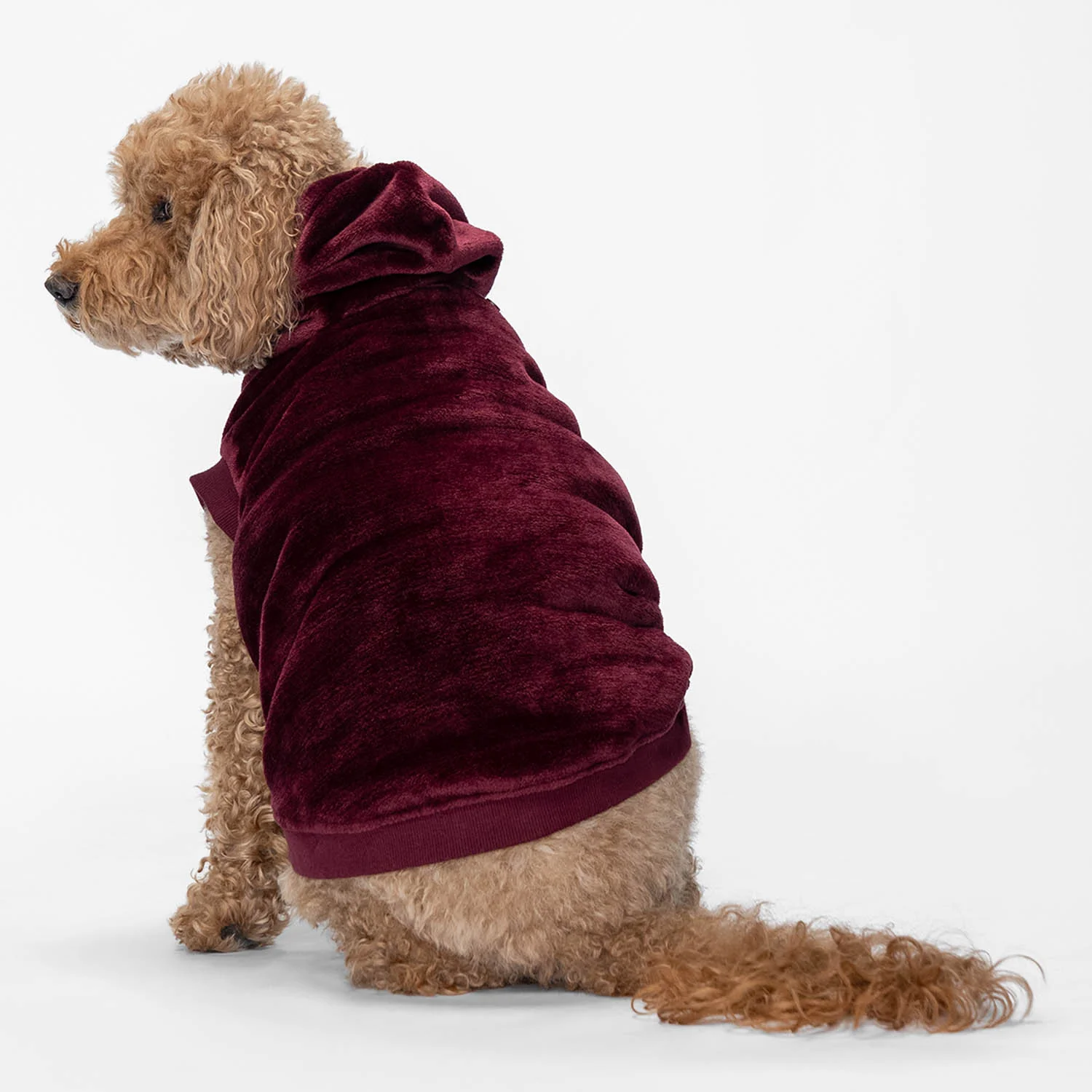 Burgundy - Image 2