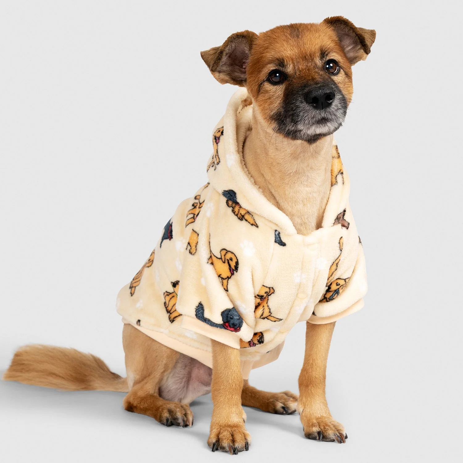 Retriever - Image 5