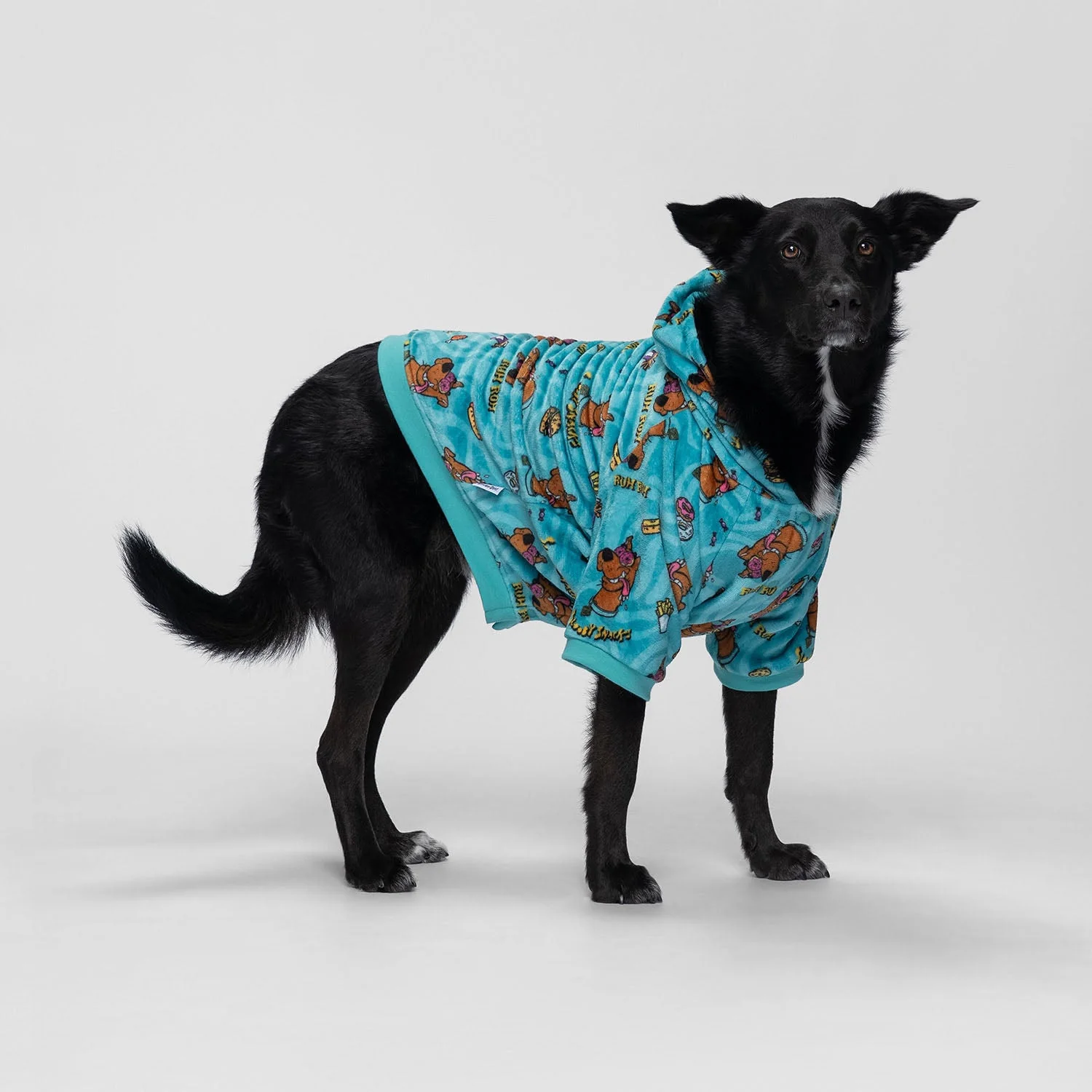 Scooby Doo - Image 7